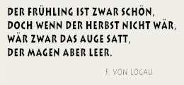 Spruch